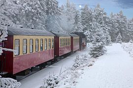 The Brockenbahn on the way below the Brocken plateau. by t.ART
