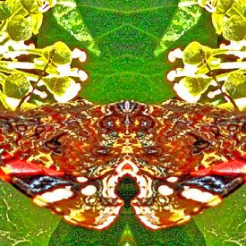 Vlinder/butterfly van Susan Stiletti