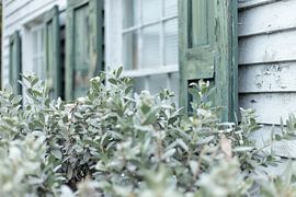 The wood can use some paint. by Cees Stalenberg