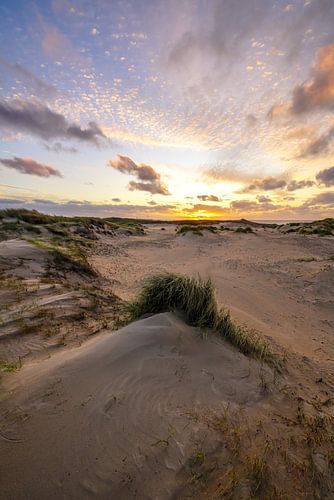 Düne, Strand und Meer