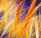 Oranje, blauwe kleurschakering. van Werner Hilpert thumbnail