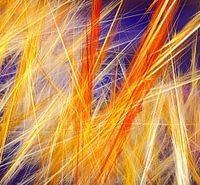 Oranje, blauwe kleurschakering.