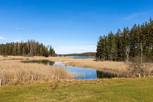 An den Osterseen