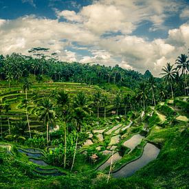 Eat, pray, love by Thierry Matsaert