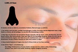 Nose 11081.10
