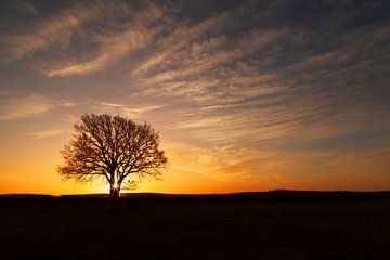 Bodden uitzicht bij zonsopgang van PHOTOGENIQUE