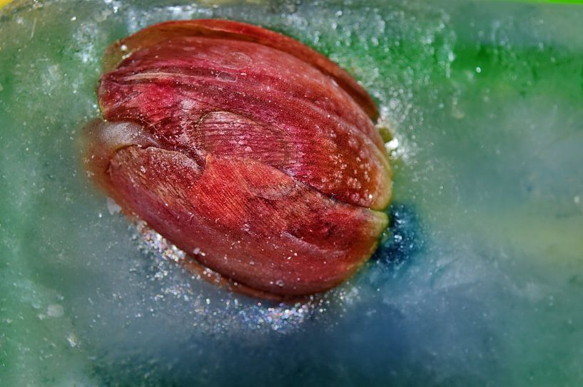 Manchette à glace par Edgar Schermaul