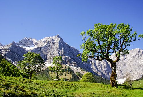 Hinterriß Eng Ahornboden - Adembenemende Alpenlandschappen: majestueuze bergtoppen, heldere meren en pure natuurmomenten - tijdloze motieven van de bergwereld.