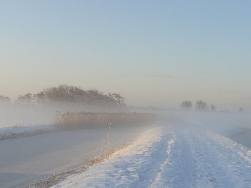 Sneeuw en mist van Natascha Tunderman
