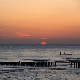 Poteaux au coucher du soleil, Zoutelande, Zélande sur Miranda Lodder