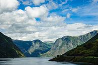 Blick auf den Aurlandsfjord in Norwegen van Rico Ködder thumbnail