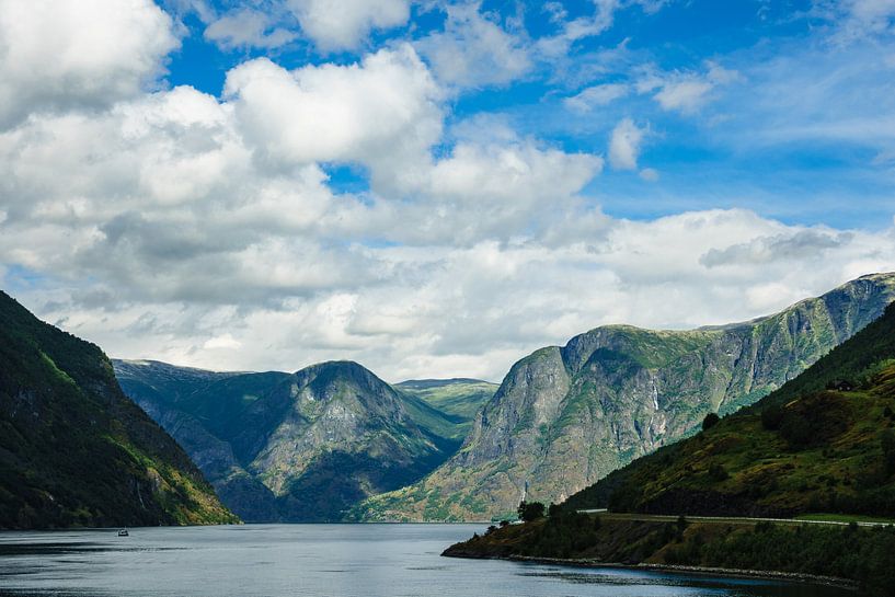 Blick auf den Aurlandsfjord in Norwegen van Rico Ködder
