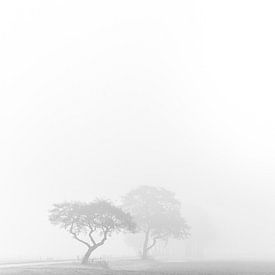 Bomen in een mistig landschap. van Andre Brasse Photography