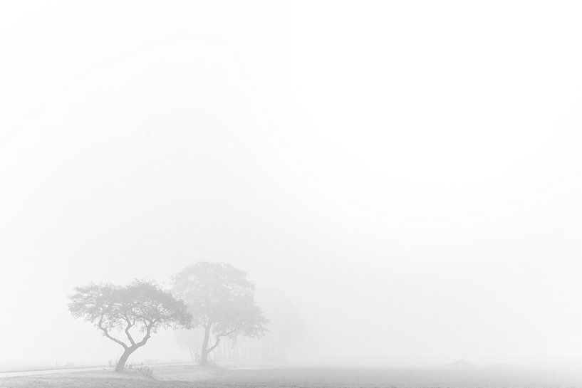 Bomen in een mistig landschap. van Andre Brasse Photography