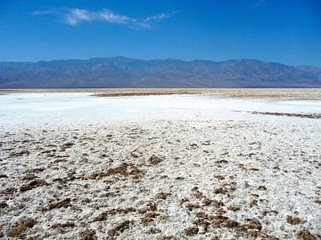 'Zoutwoestijn', Death Valley- Californië  van Martine Joanne