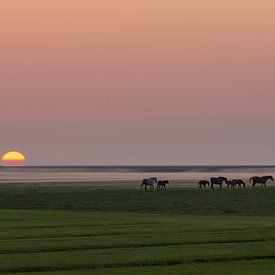 Das Noorderleeg von By Foto Joukje