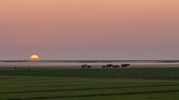 Das Noorderleeg von By Foto Joukje