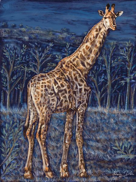 Veille nocturne sur la steppe par Natascha Dokter