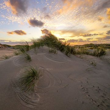 Cirkels in het zand van Dirk van Egmond