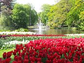 Keukenhof bloemen von Veli Aydin Miniaturansicht