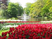 Keukenhof bloemen