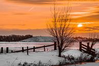 Zonsondergang in de besneeuwde Grootegaster molenpolder van Annie Jakobs thumbnail