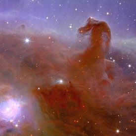 Horsehead Nebula (close up) by NASA and Space