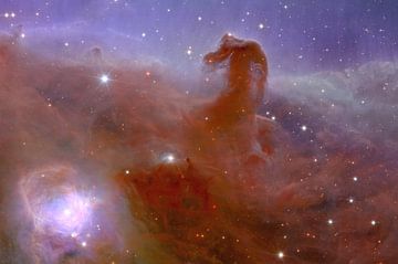 Paardenkopnevel of Horsehead Nebula (close-up) van NASA and Space