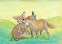 Vosjes