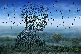 Adem in de lucht waar de vogels zijn van Stefan teddynash