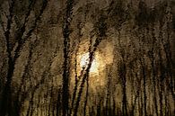 Réflexion du soleil et des arbres dans une eau ondulante par Kristof Lauwers Aperçu