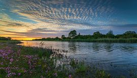 Floodplains along the Lek by Ronald Bergkamp Nature Photography