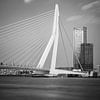 Skyline van Rotterdam met Erasmusbrug van Lorena Cirstea