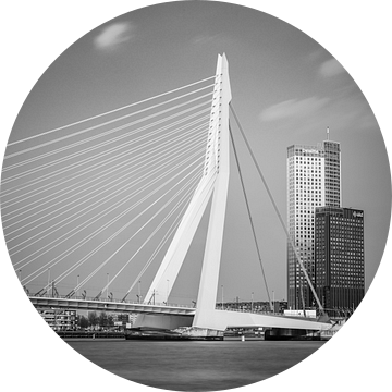 Skyline van Rotterdam met Erasmusbrug van Lorena Cirstea
