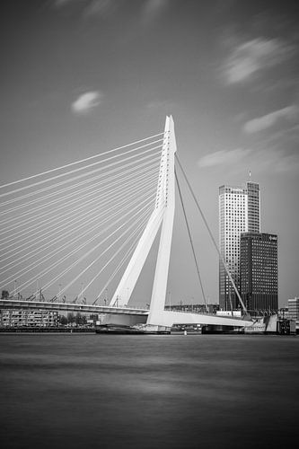 Skyline van Rotterdam met Erasmusbrug
