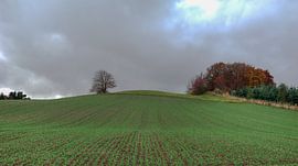 Volop herfst in Sauerland - Duitsland von Jeroen(JAC) de Jong
