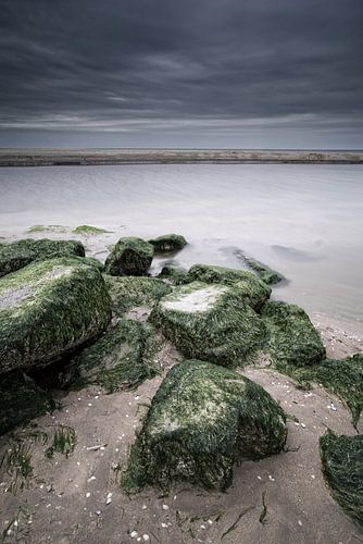 De ruige Noordzee kust