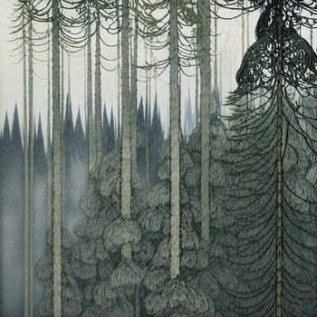 Quiet Forest