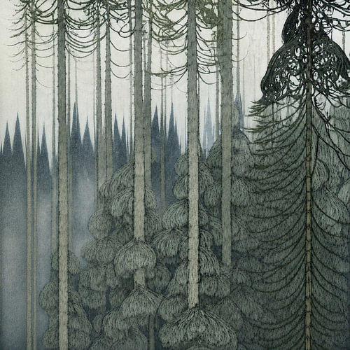 Stiller Wald