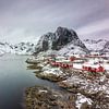 Paysage d'hiver à Hamnøy sur Frank Laurens