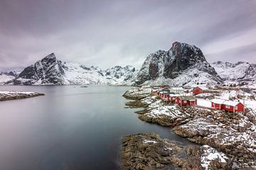 Winter Landscape in Hamnøy by Frank Laurens