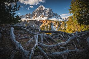 Panorama du Peitlerkofel dans les Dolomites