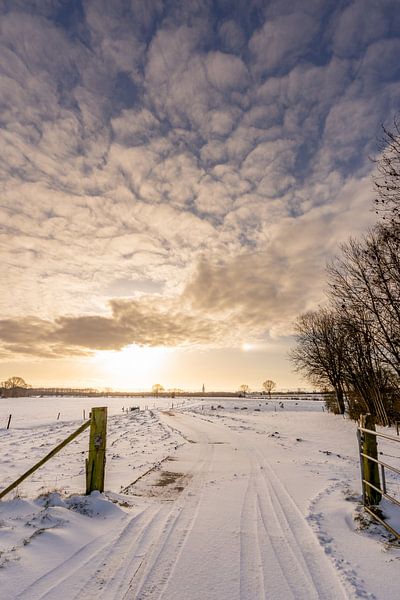 Schöne Winterlandschaft bei Sonnenaufgang in Steenwijk, Niederlande von Dafne Vos