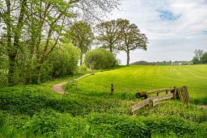 Chemin du moulin de Frans
