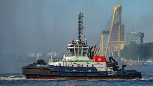 Schlepper VB Force.