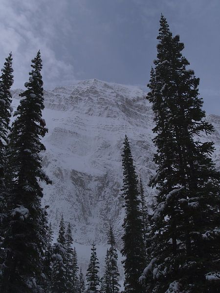 L'hiver dans les Rocheuses par Timon Schneider