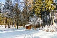 Korte winterwandeling rond de besneeuwde Inselsberg bij Brotterode - Thüringen - Duitsland van Oliver Hlavaty thumbnail