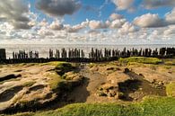 Beach poles Mud hole Wadden Sea by Jeroen Werkhoven thumbnail
