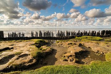 Beach poles Mud hole Wadden Sea by Jeroen Werkhoven