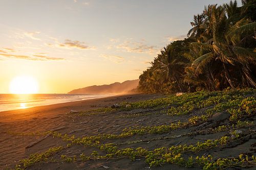 Avondgloed op het strand aan de Stille Oceaan